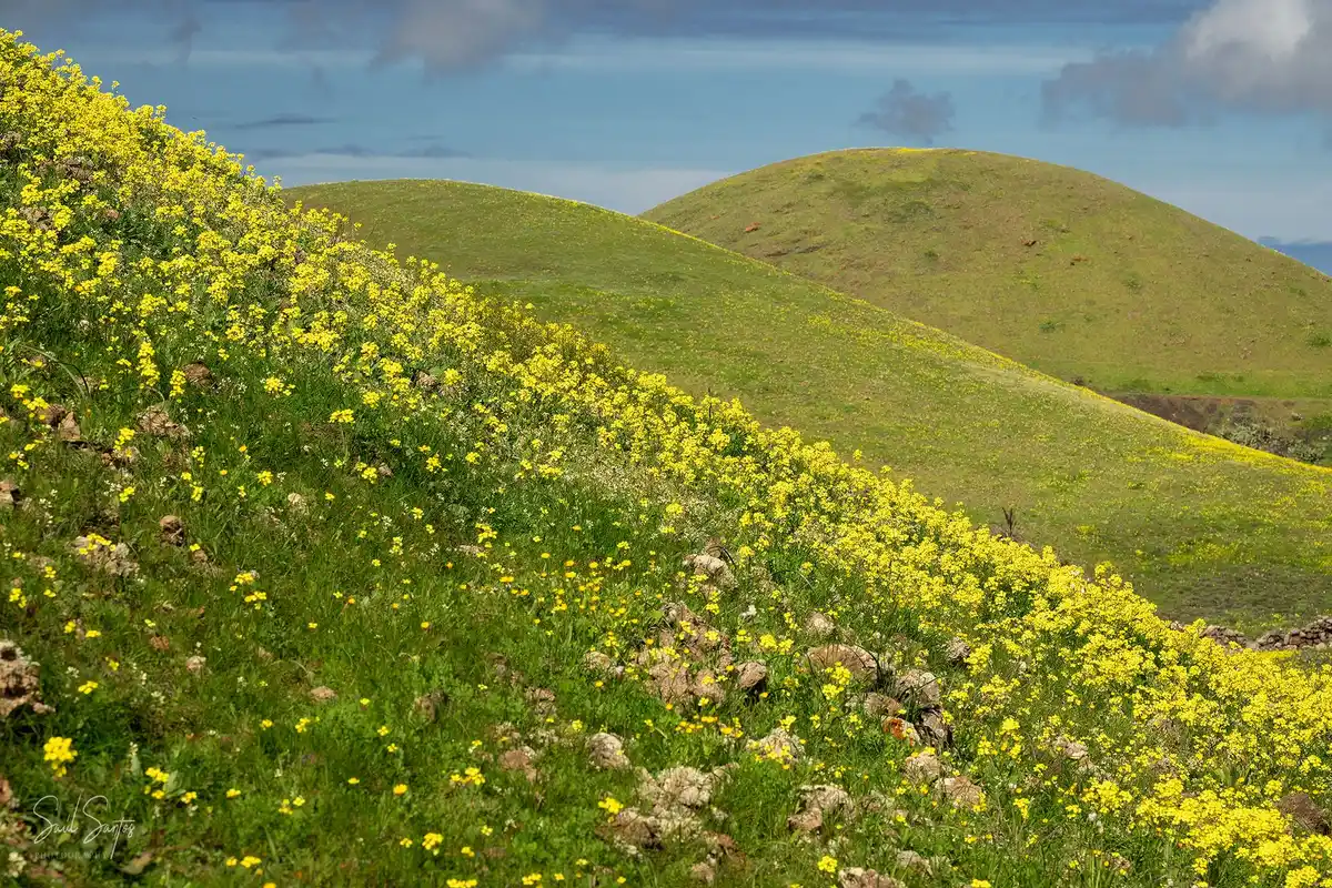 Because Healthy Skin